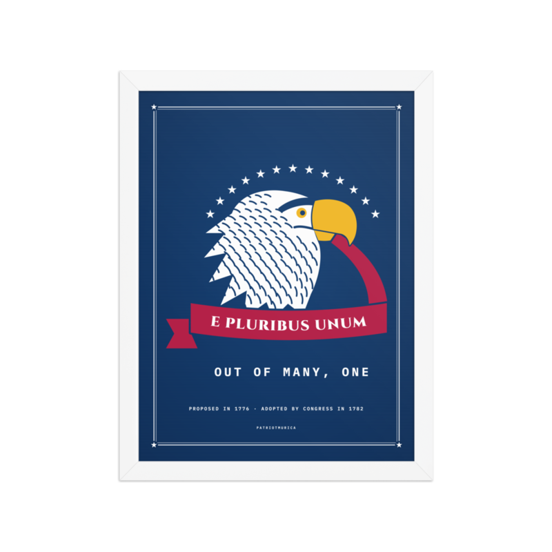 E Pluribus Unum Framed Print in White