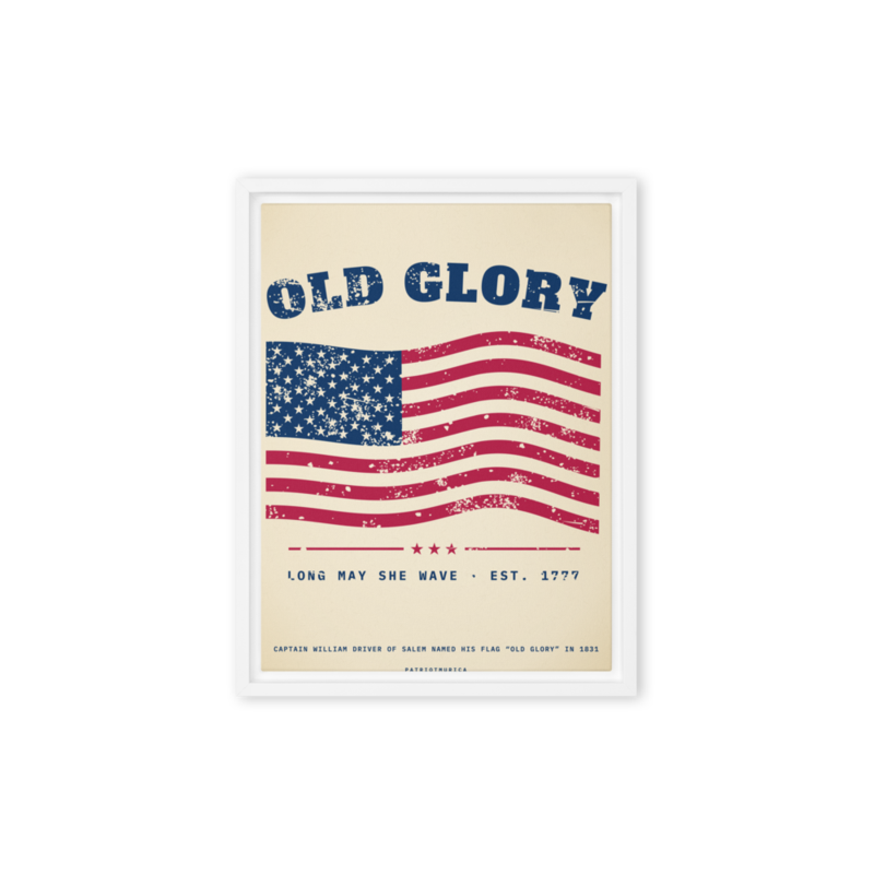 Old Glory Framed Canvas in White