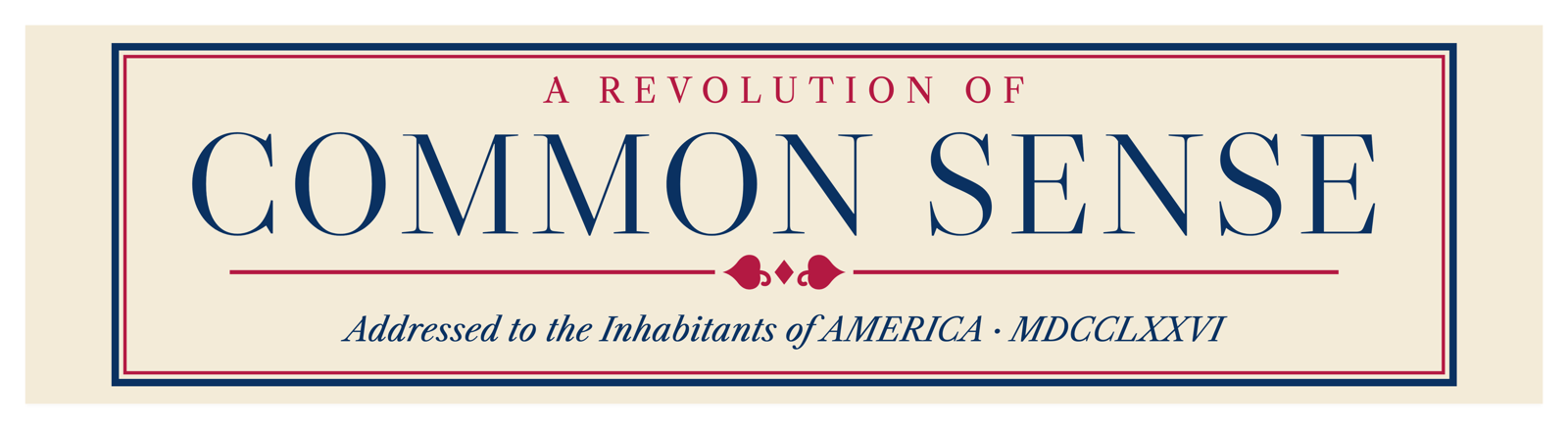 Common Sense Car Magnet