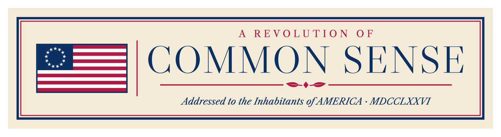 Common Sense Car Magnet