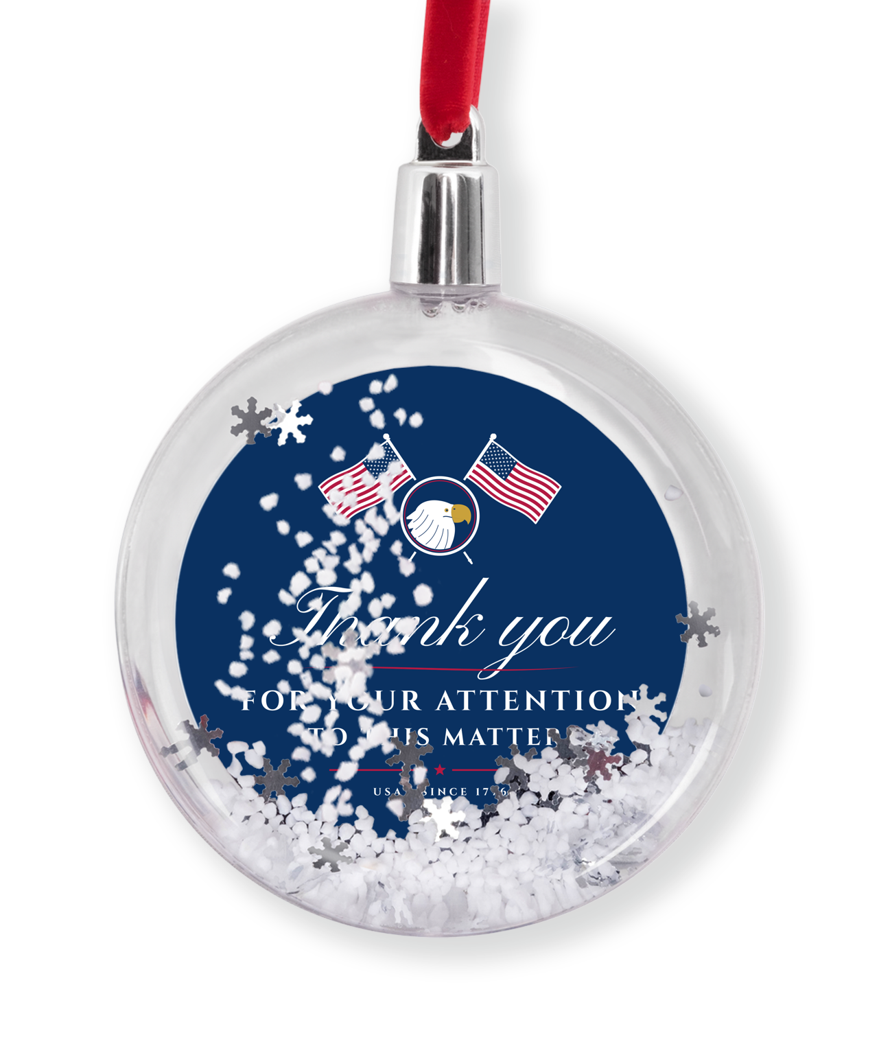 Thank You for Your Attention Snow Globe Ornament